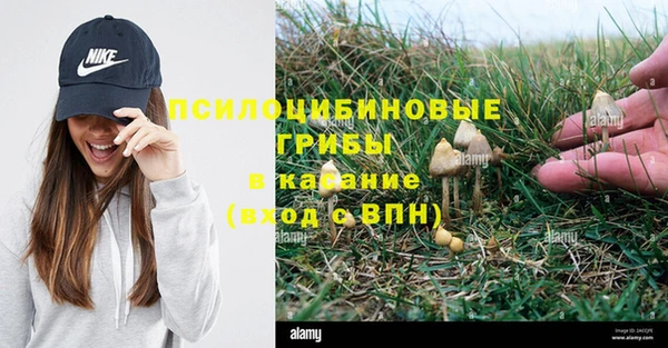 эйфоретик Гусиноозёрск