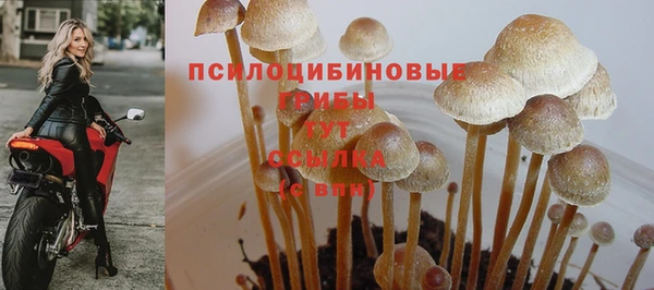 кокаин перу Гусев