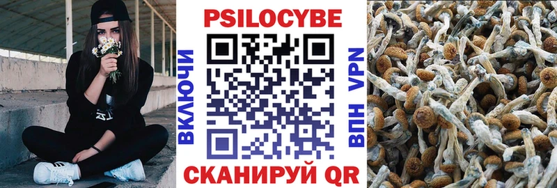 Купить где  Сясьстрой  Галлюциногенные грибы GOLDEN TEACHER 