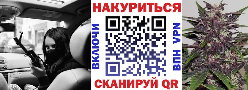 Купить  Сясьстрой  Канабис Amnesia 